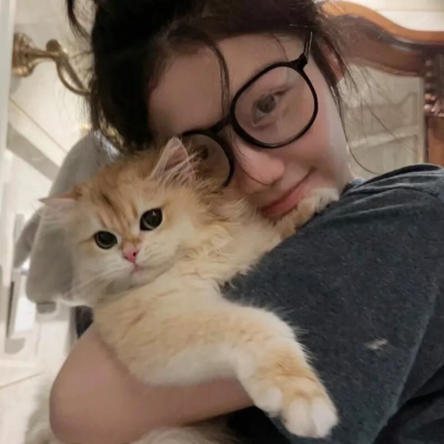 骗徒臭事多国语