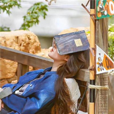 偷我研发成果后我震惊世界